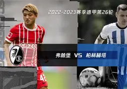 本菲卡今晚完成体检，志在德甲名次提升，球迷炸锅，医务组通报恢复的简单介绍-爱游戏app